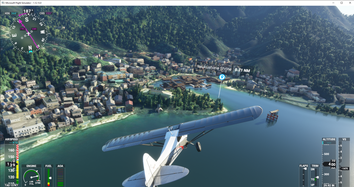 My journey into flight sims