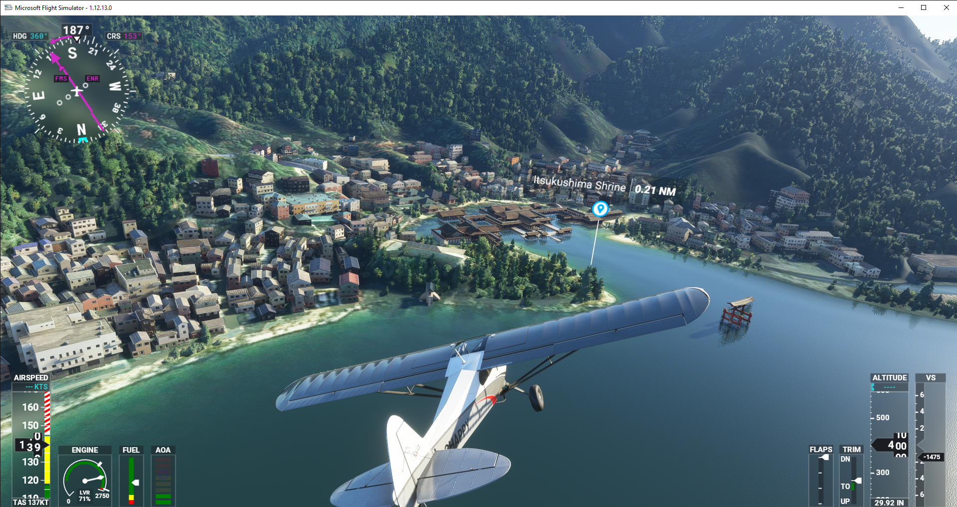 Microsoft Flight Simulator X: Steam Edition + Eye Tracking